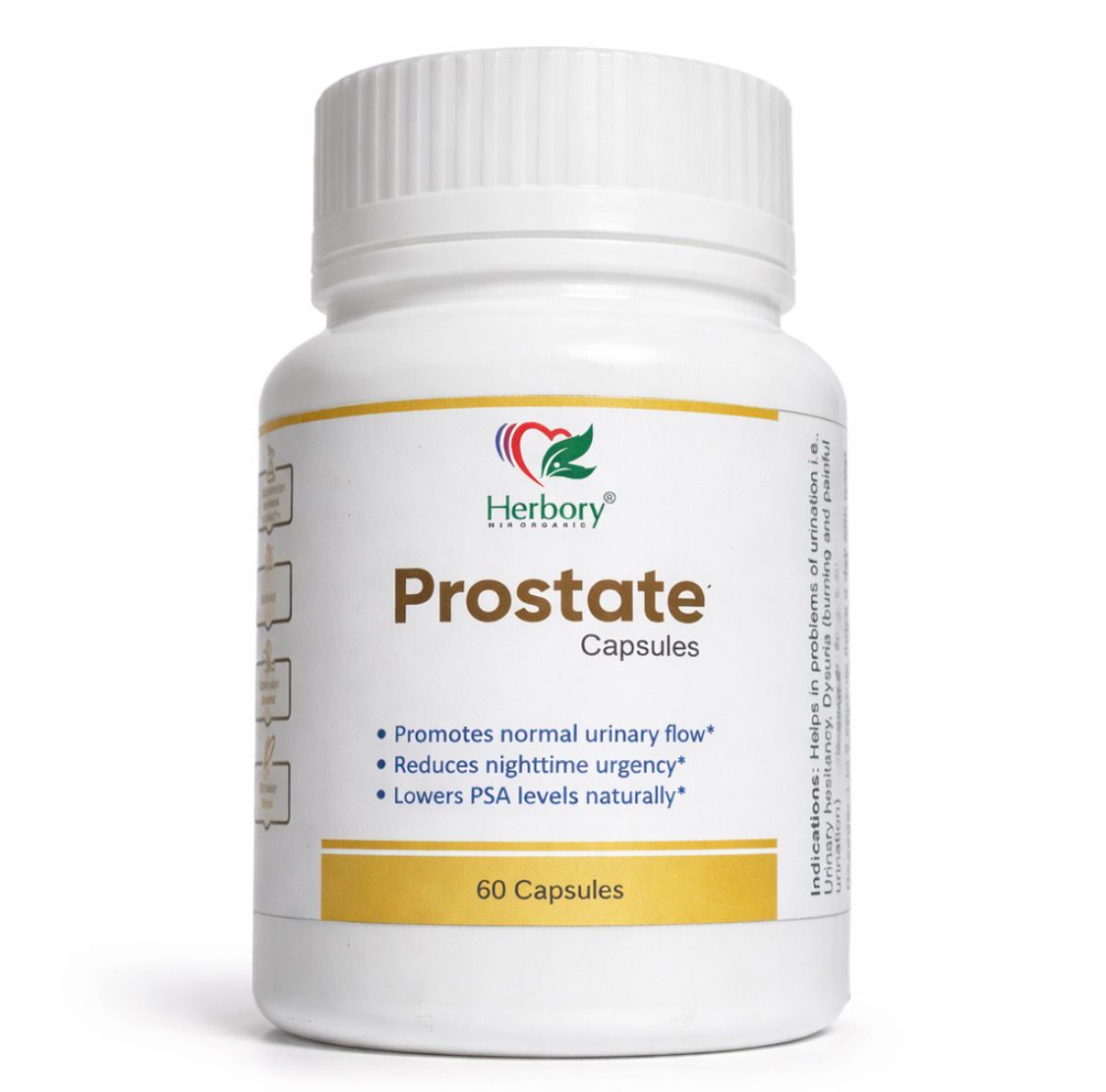 WhatsApp Image 2026-03-31 at 12.20.52 AM (1)