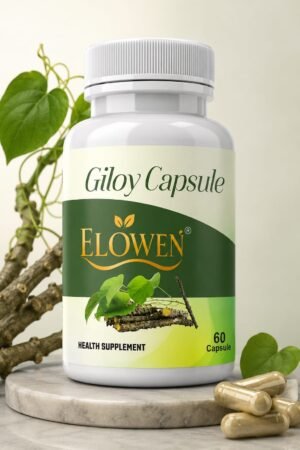 GILOY CAPSULE (60 capsules)