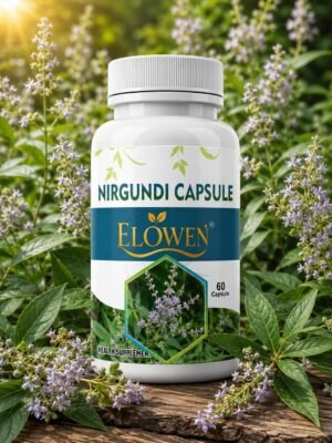 NIRGUNDI CAPSULE (60 capsules)